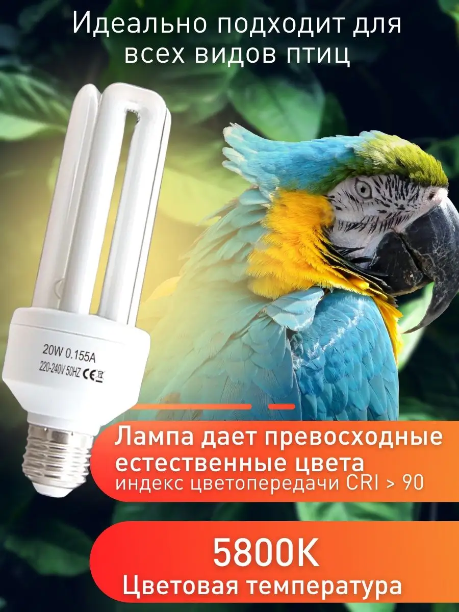 Осветительное оборудование и лампы для птиц bird (бирд) Е27 купить в москве