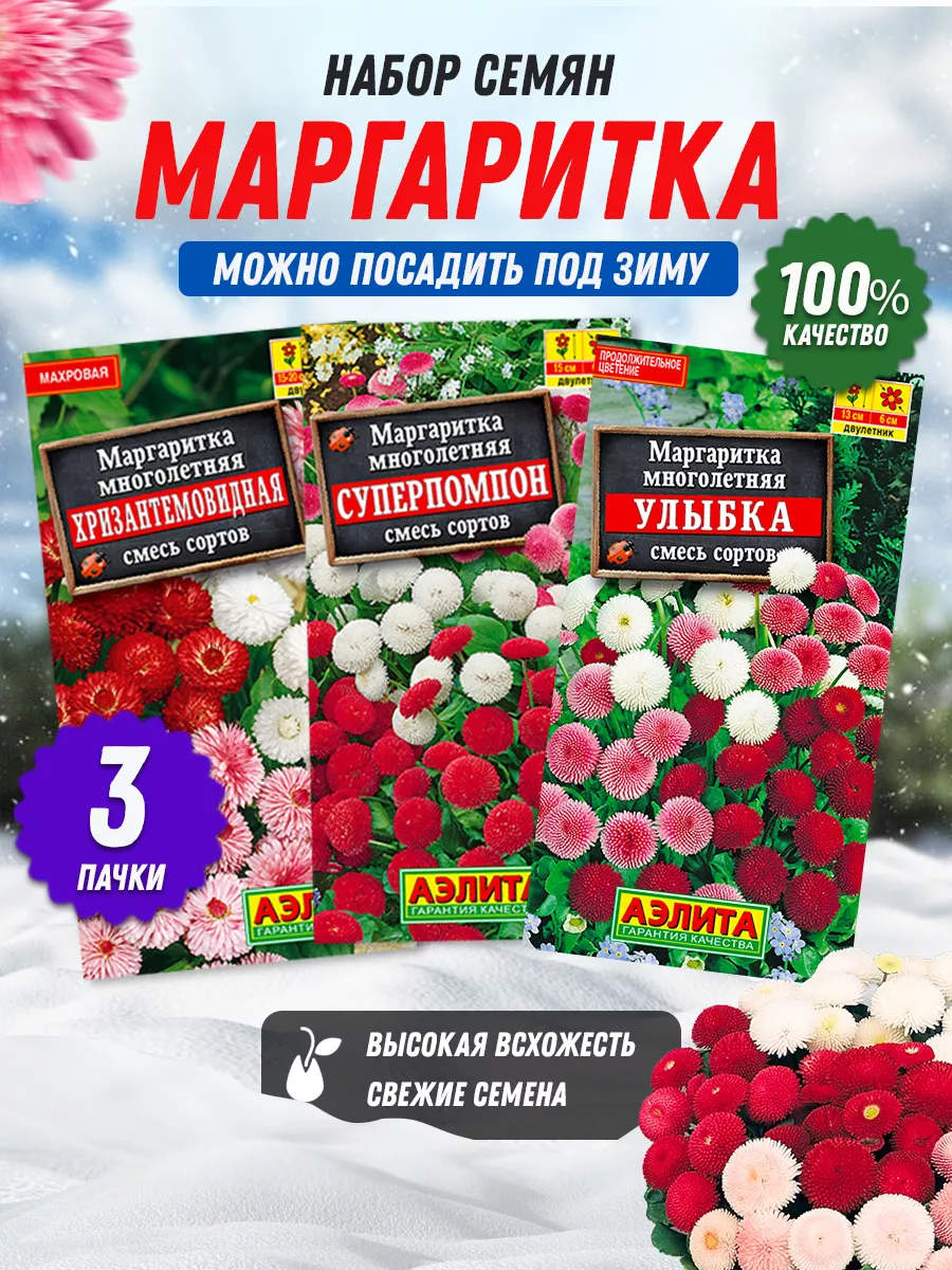 Семена маргаритки двулетняя 3 шт Агрофирма Аэлита 151195651 купить за 175 ₽  в интернет-магазине Wildberries