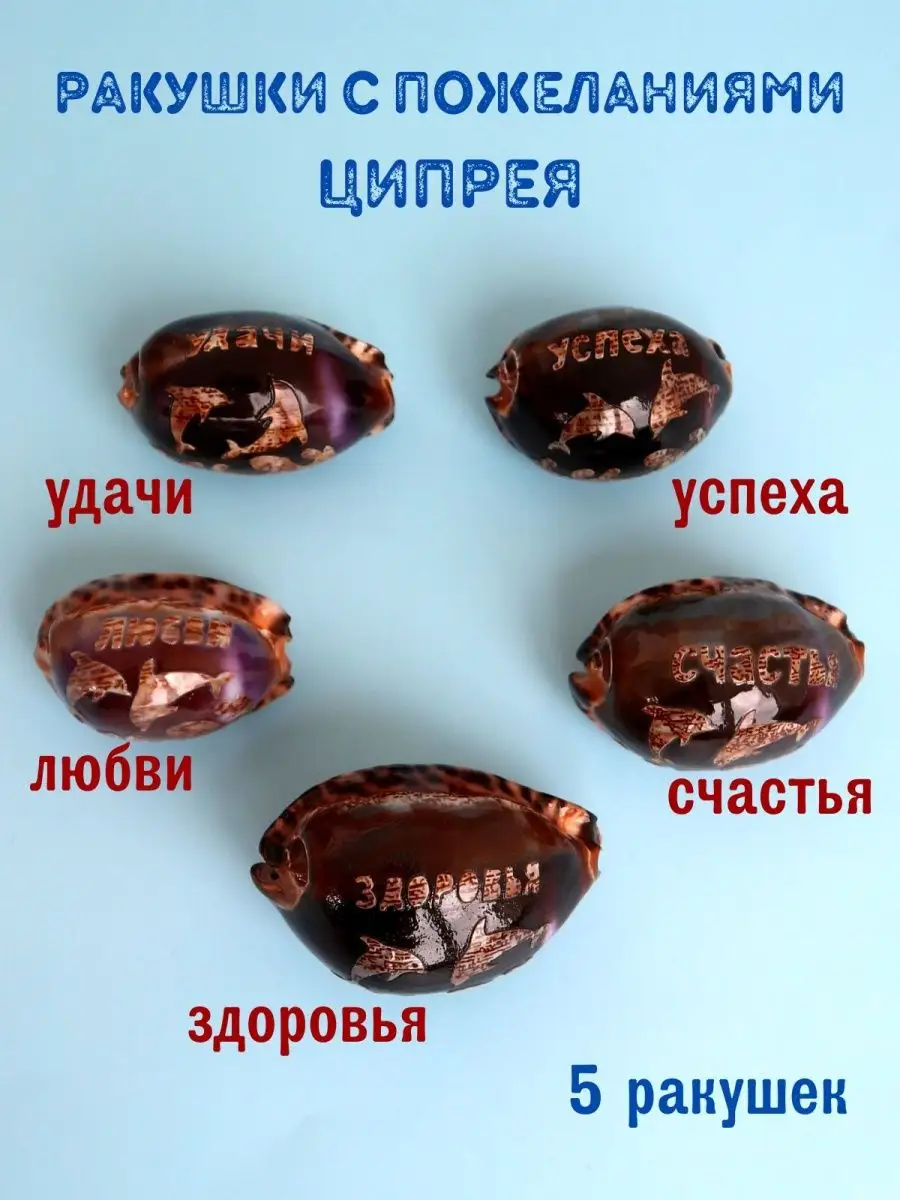 EcoLife_Shells - каталог 2023-2024 в интернет магазине WildBerries.ru