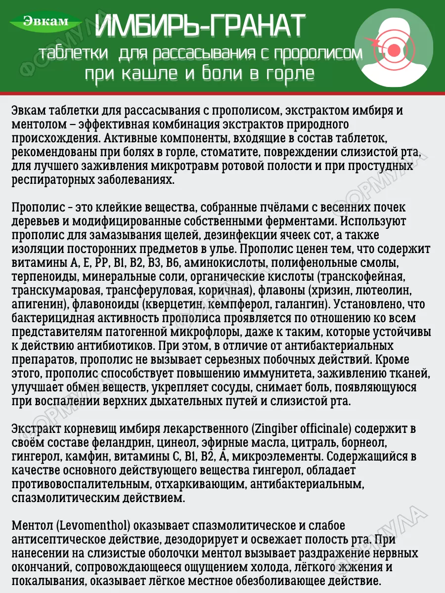 Таблетки имбирьГранат 2уп.х24ш Эвкам 151293367 купить за 454 ₽ в  интернет-магазине Wildberries