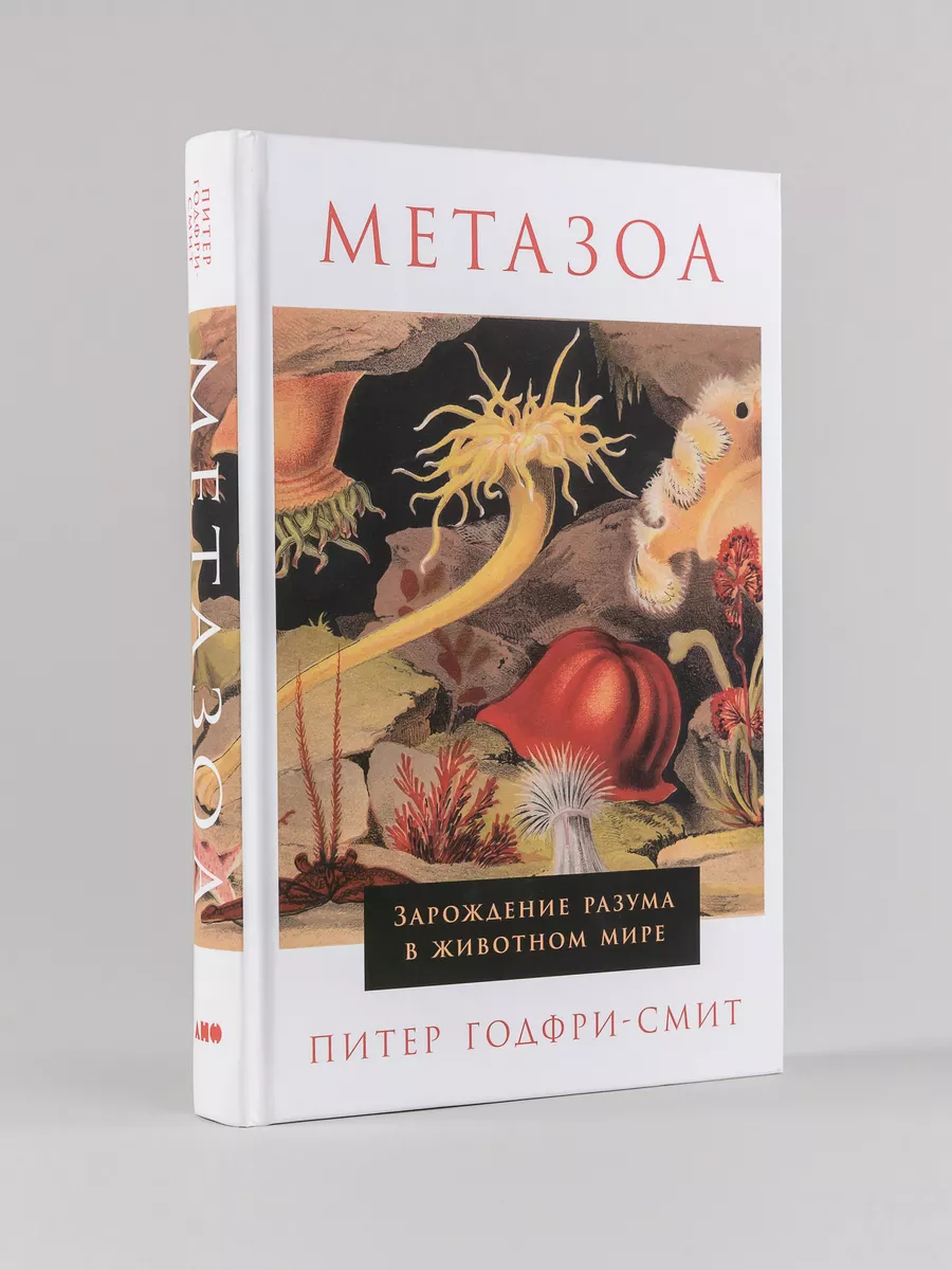 Метазоа: Зарождение разума в животном мире Альпина. Книги 151298180 купить  за 585 ₽ в интернет-магазине Wildberries