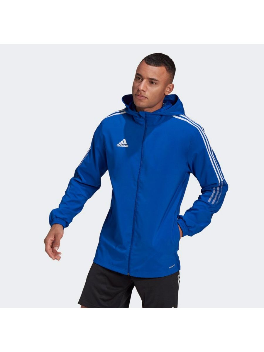 Олимпийка tiro 21 adidas Performance