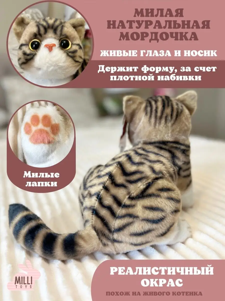 Мягкая игрушка кот плюшевая кошка Milli toys 151341729 купить за 1 038 ₽ в  интернет-магазине Wildberries