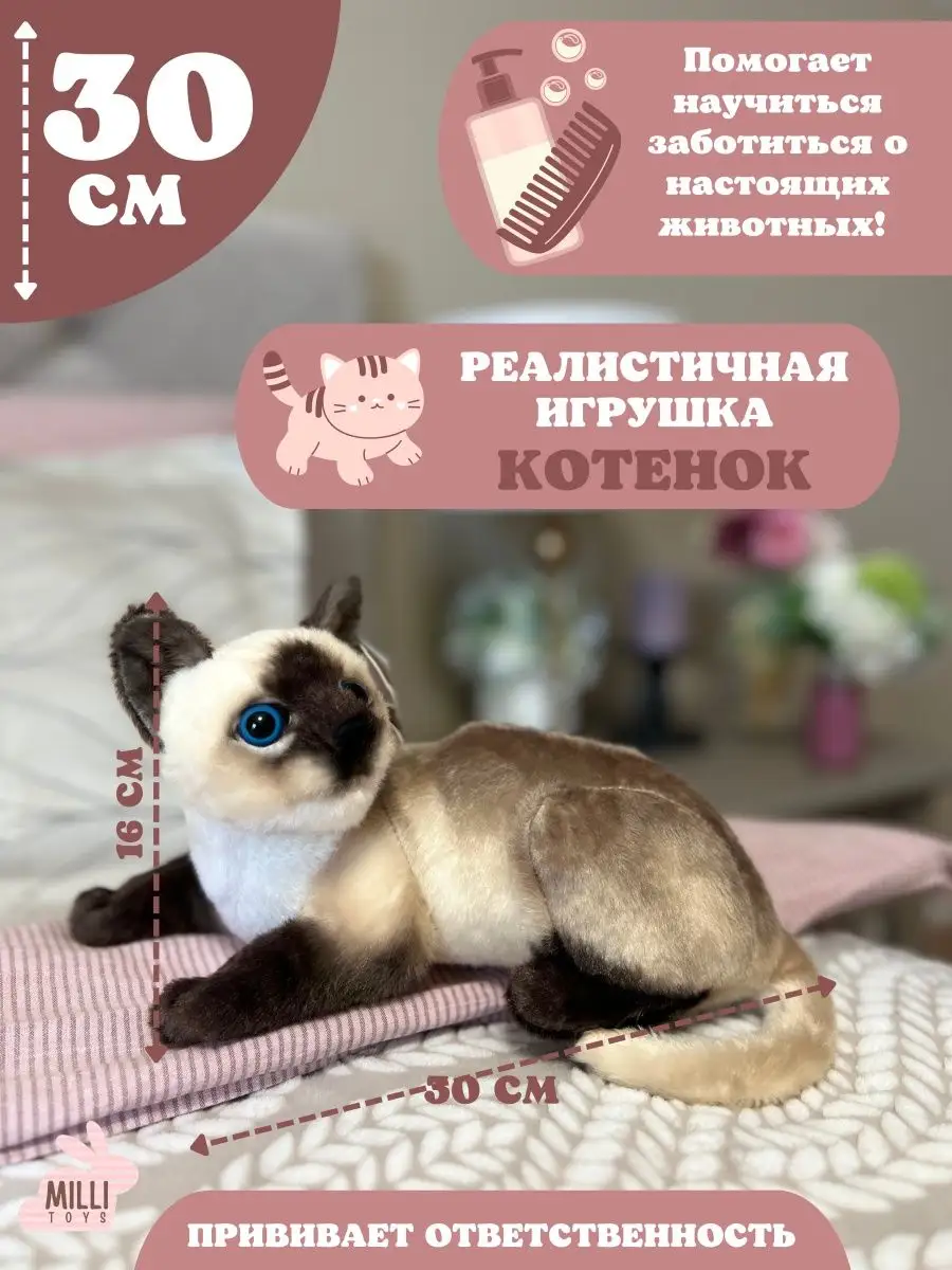 Мягкая игрушка кот плюшевая кошка Milli toys 151346379 купить за 910 ₽ в  интернет-магазине Wildberries