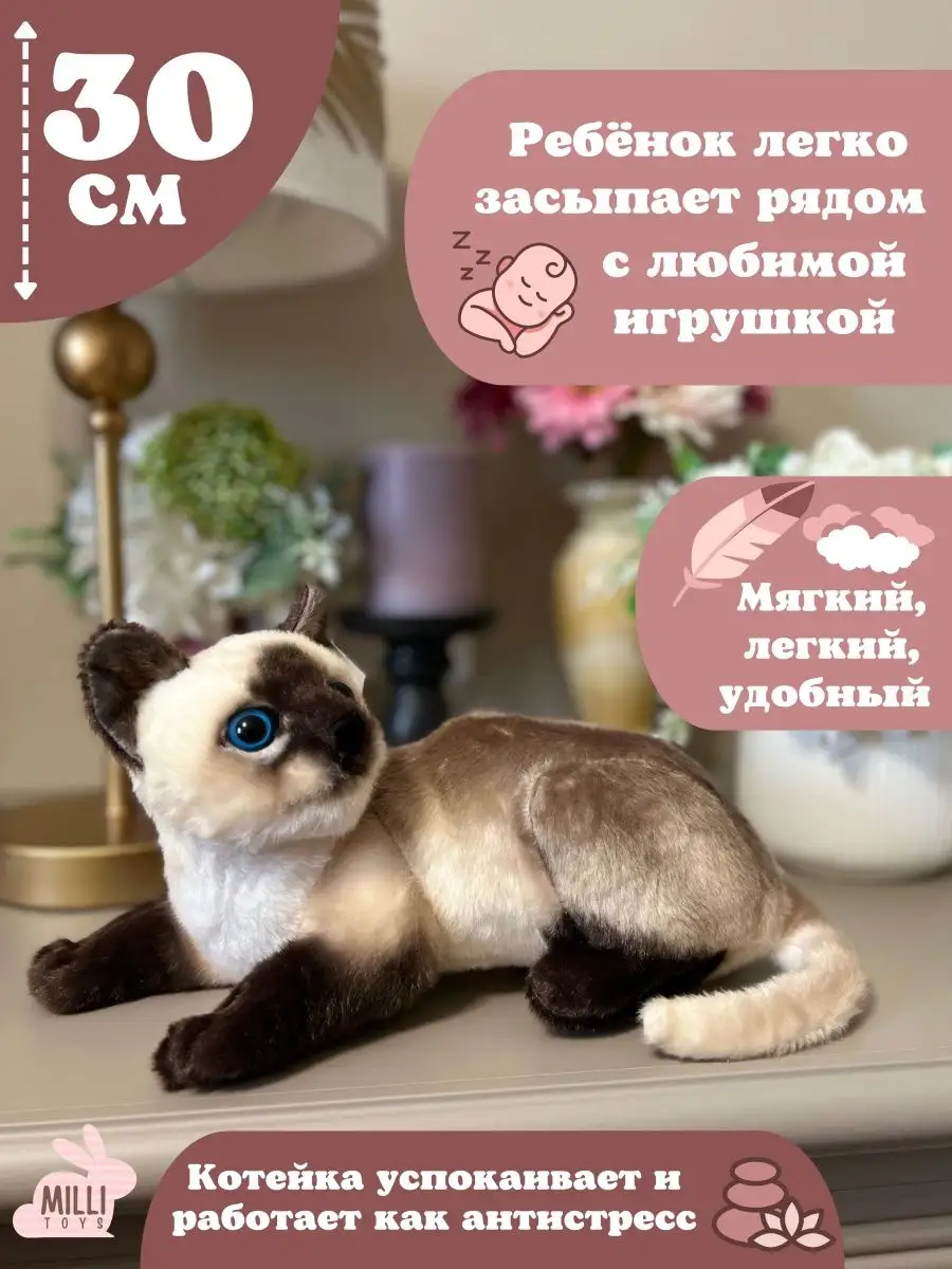 Мягкая игрушка кот плюшевая кошка Milli toys 151346379 купить за 910 ₽ в  интернет-магазине Wildberries