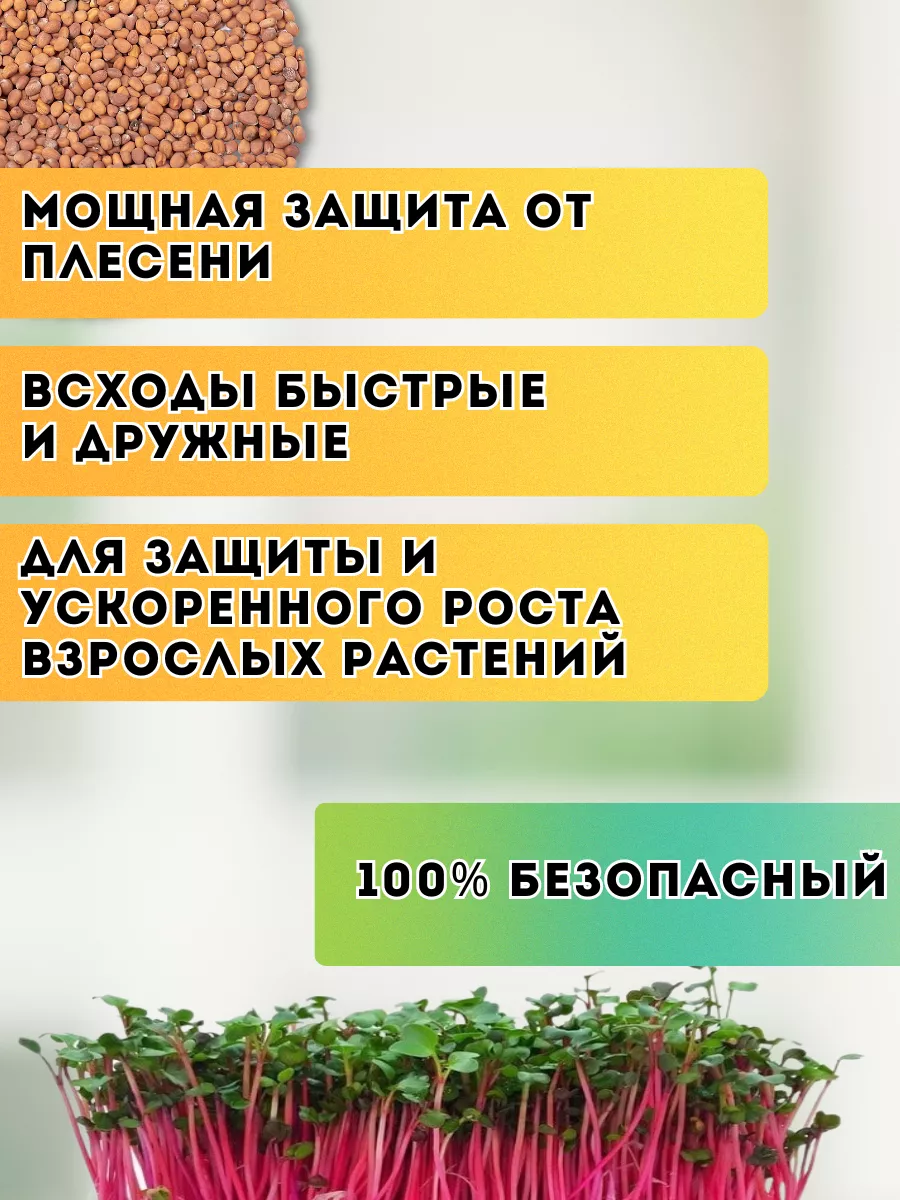 Удобрение Нажми на газ Народные семена 151413096 купить за 567 ₽ в  интернет-магазине Wildberries