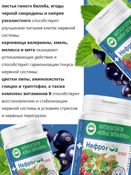 Родник Здоровья Артророз для суставов шпинат фитококтейль в таблетках, Фитококтейль НефроРОЗ витамины почек, фото 3