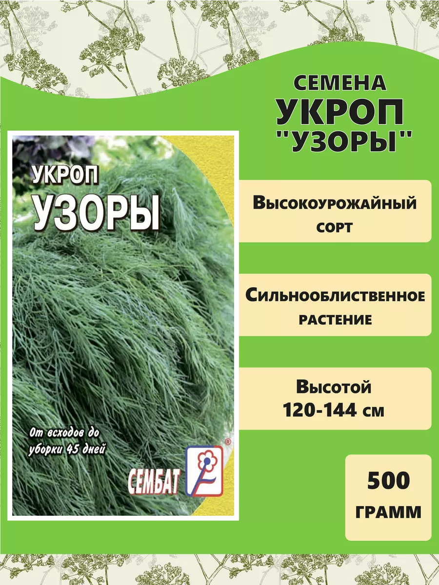 Семена Укроп "Узоры", 500 г Сембат 151471364 купить за 774 ₽ в интернет-магазине Wildberries