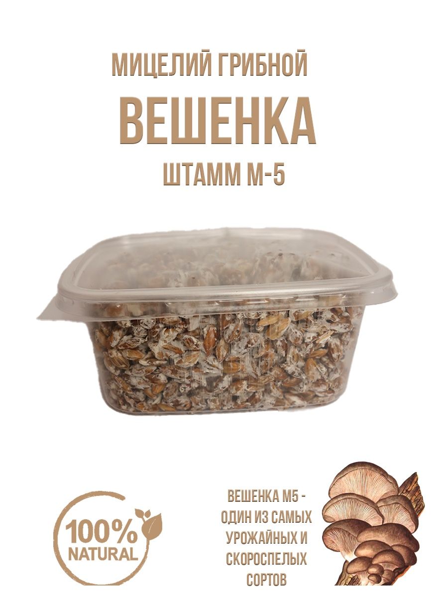 Мицелий вешенки зерновой грибница домашняя Грибница Simple Food Trade  151486724 купить за 189 ₽ в интернет-магазине Wildberries