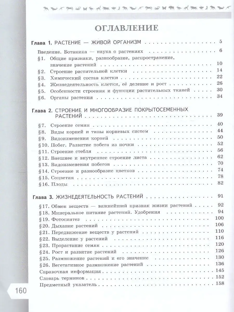 Биология 6 класс. Базовый уровень. Учебник к новому ФП. ФГОС Просвещение  151532702 купить за 1 259 ₽ в интернет-магазине Wildberries