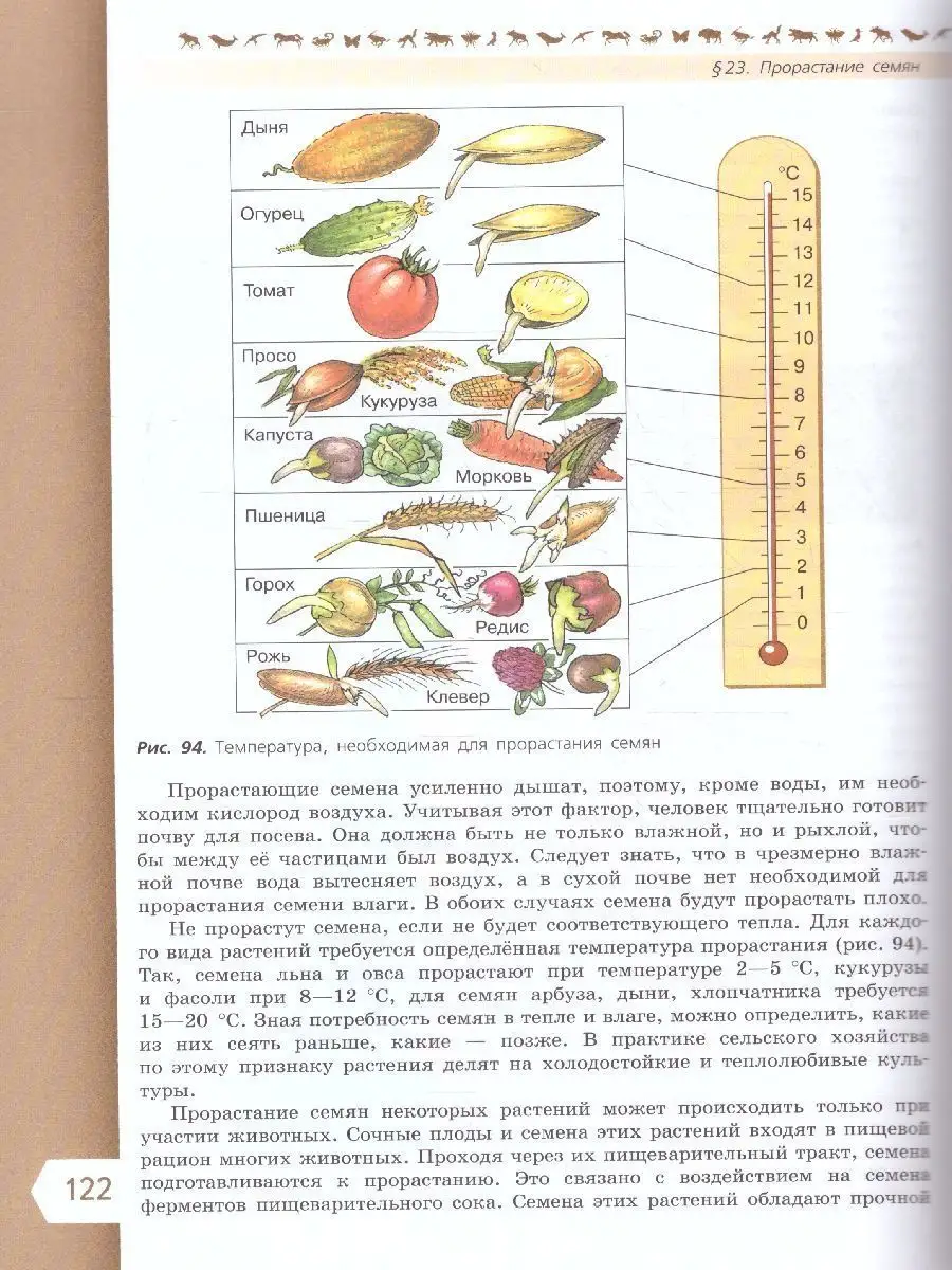 Биология 6 класс. Базовый уровень. Учебник к новому ФП. ФГОС Просвещение  151532702 купить за 1 259 ₽ в интернет-магазине Wildberries