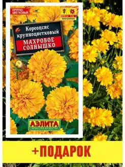 Кореопсис семена цветов для сада Махровое солнышко 1 шт Агрофирма Аэлита 151536731 купить за 145 ₽ в интернет-магазине Wildberries