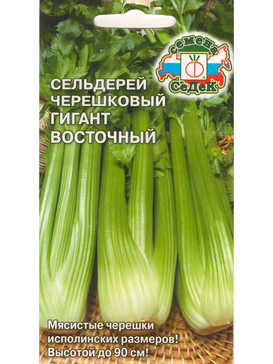 Сельдерей черешковый Гигант восточный - 1 упаковка УМ.семена 151617990  купить в интернет-магазине Wildberries