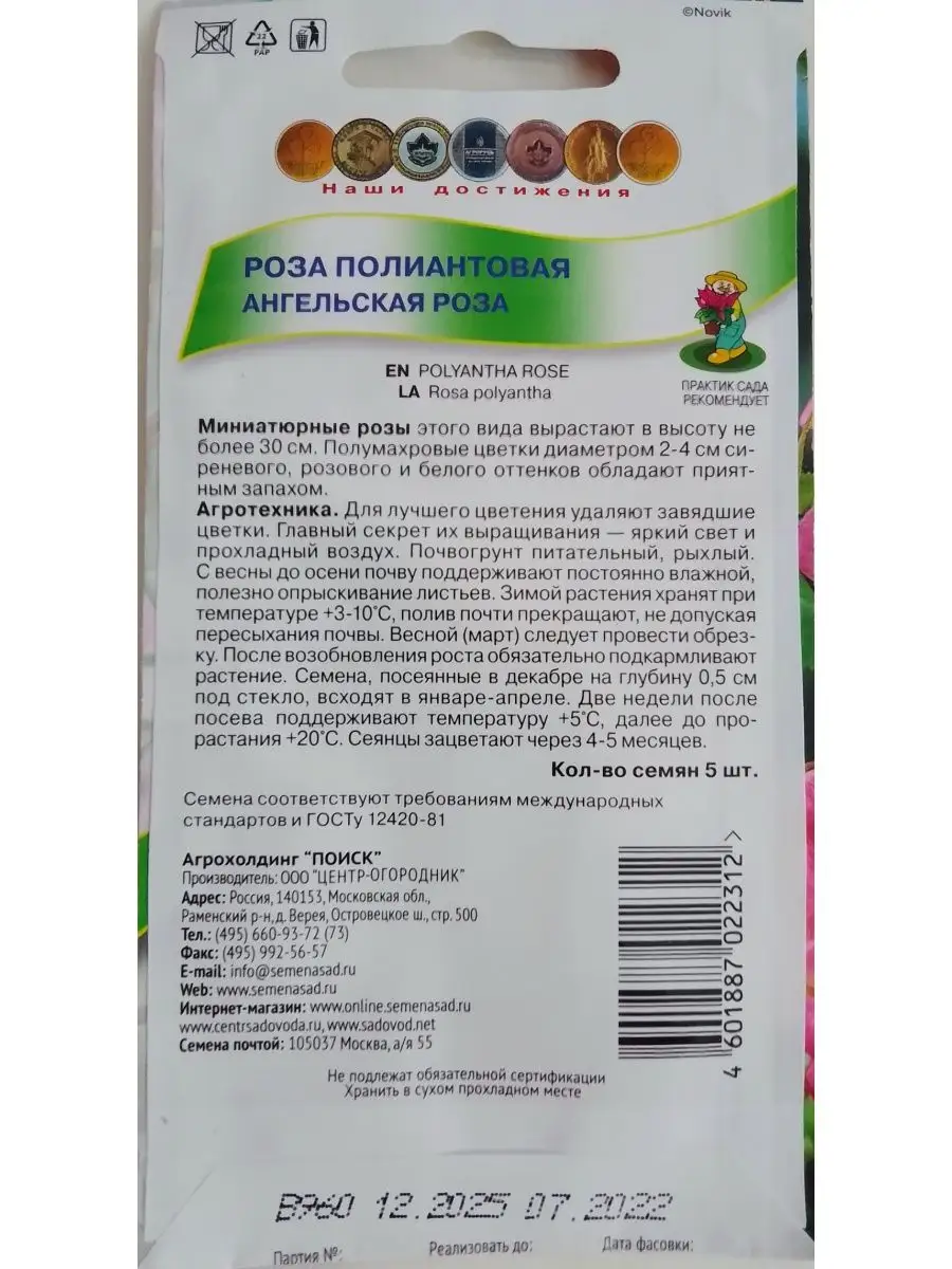 Роза полиантовая Ангельская роза Агрофирма Поиск 151654406 купить за 151 ₽  в интернет-магазине Wildberries