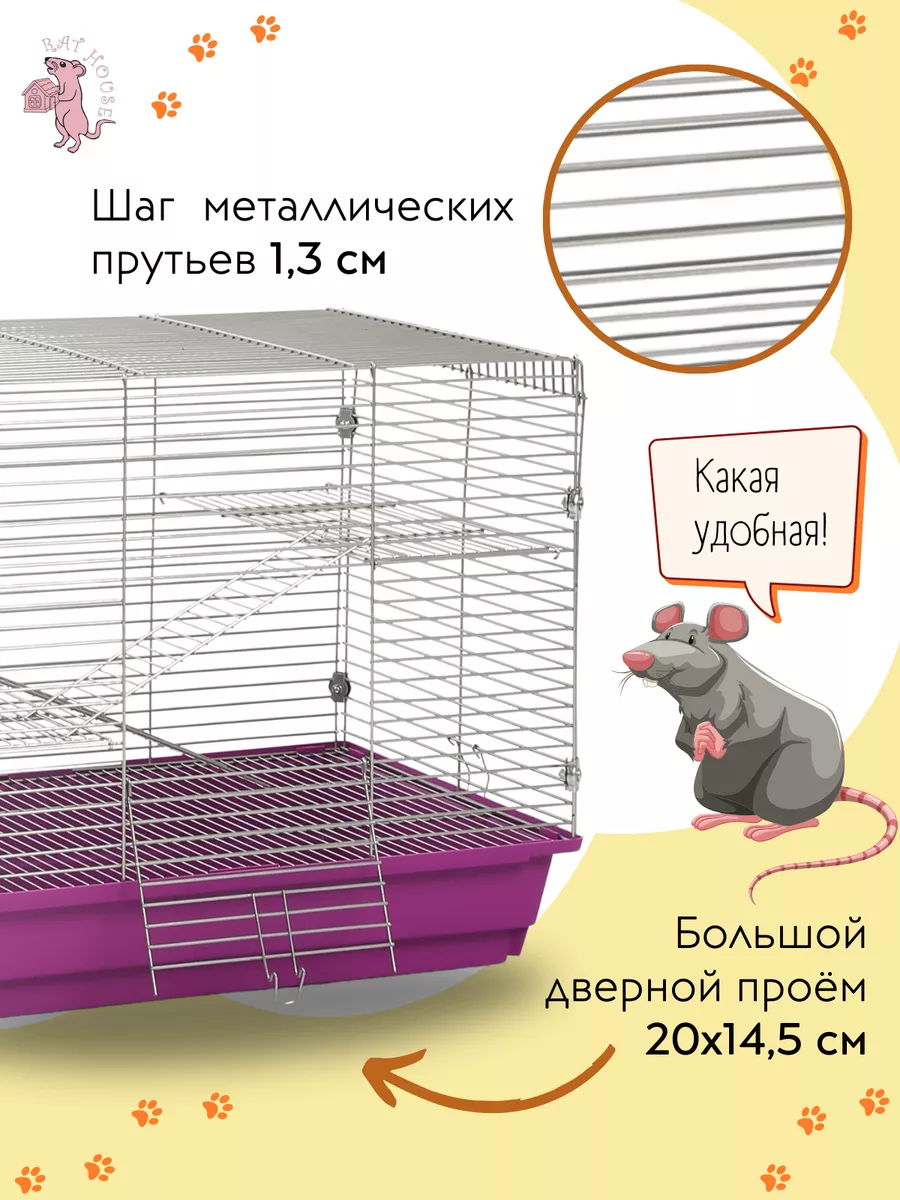 Клетка для Дегу и Крыс Стандарт 57,5х39,5х48 см Rat House 151669143 купить  за 2 942 ₽ в интернет-магазине Wildberries