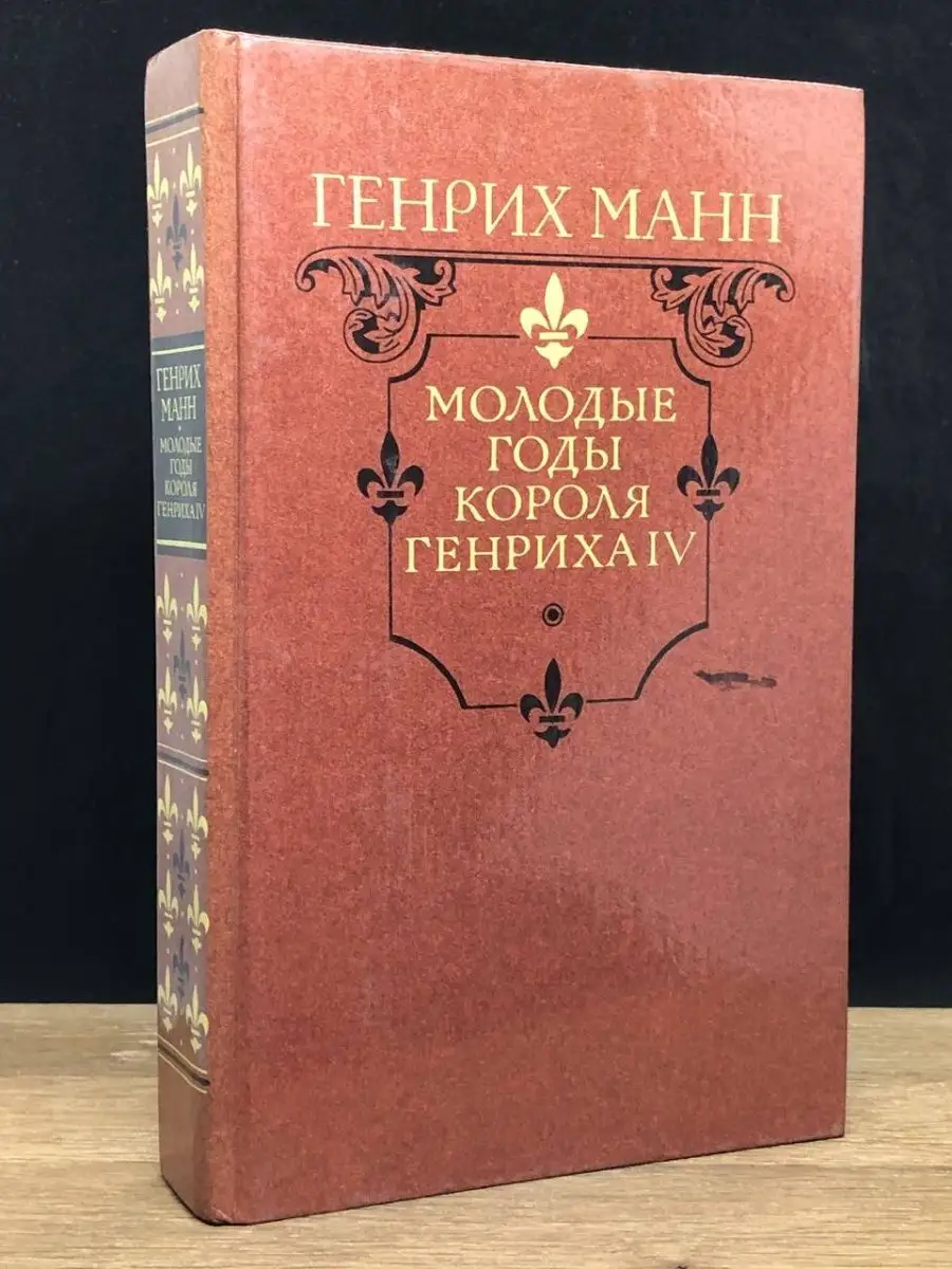 Зрелые годы короля Генриха IV (год)