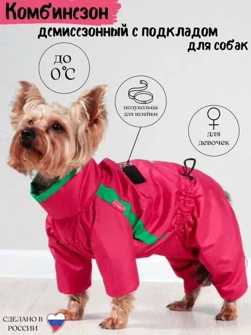 Одежда для собак. Каким собакам нужна одежда и зачем вообще одевать собаку?