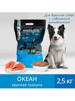 Живая Сила "Океан" 2,5 кг JJ-SPORT 151822256 купить за 1 204 ₽ в интернет-магазине Wildberries