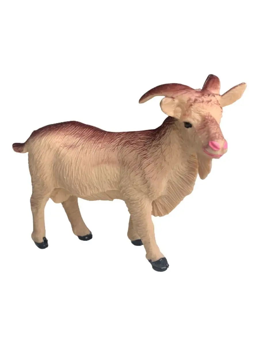 Родословная коз. Белая камерунская коза. Козлик 10. Козлик 10. Козлик 10.