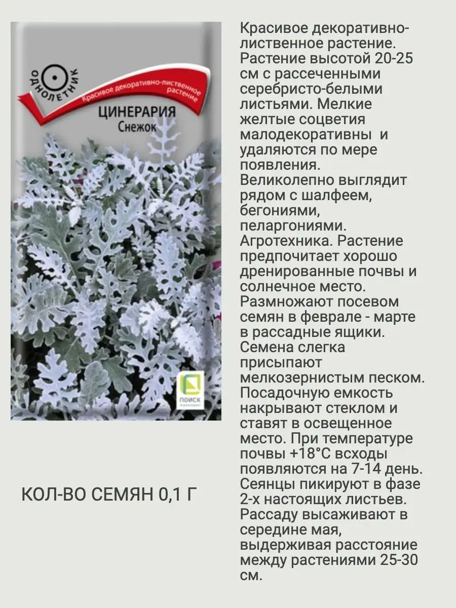 Семена цветов однолетних сухоцветы Агрохолдинг Поиск 151893064 купить за  243 ₽ в интернет-магазине Wildberries