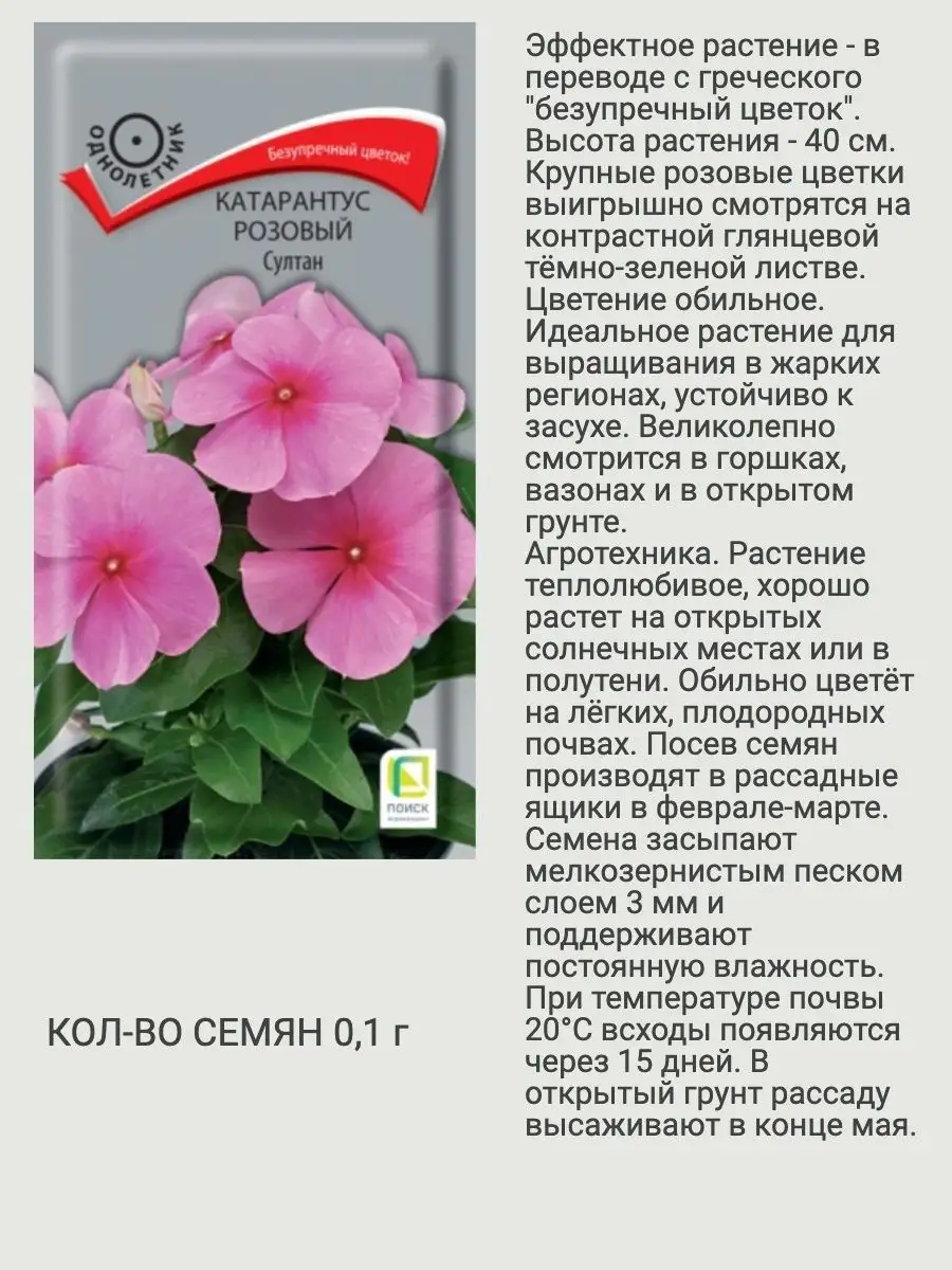 Семена цветов катарантус Агрохолдинг Поиск 151903912 купить за 170 ₽ в  интернет-магазине Wildberries