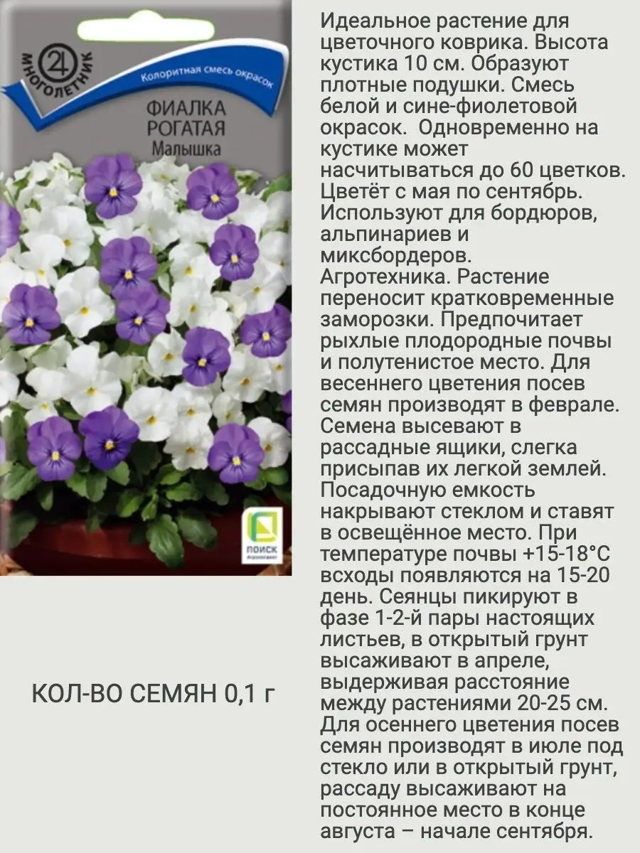 Семена цветов фиалка Агрохолдинг Поиск 151909729 купить за 246 ₽ в  интернет-магазине Wildberries