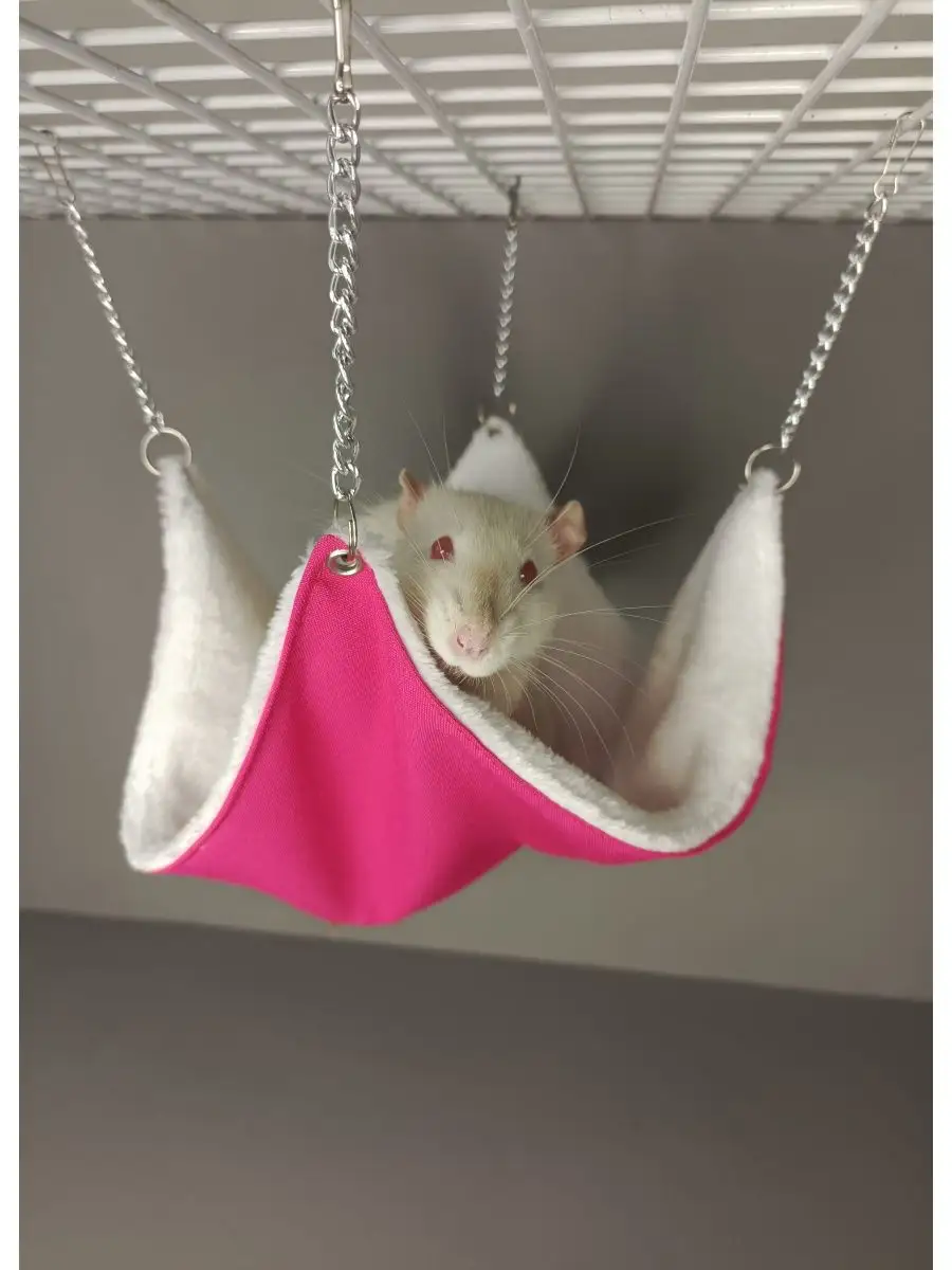 Гамак для крысы: мастер-классы и идеи своими руками