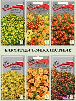 Набор семян однолетних цветов Бархатцы тонколистные Агрохолдинг Поиск 152000801 купить за 250 ₽ в интернет-магазине Wildberries