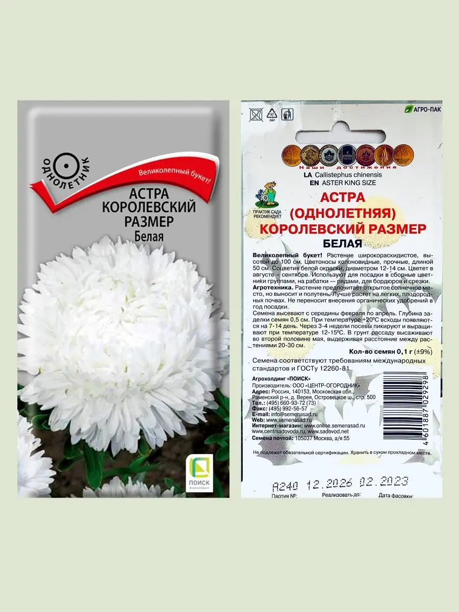 Семена астры Агрохолдинг Поиск 152001020 купить за 259 ₽ в  интернет-магазине Wildberries