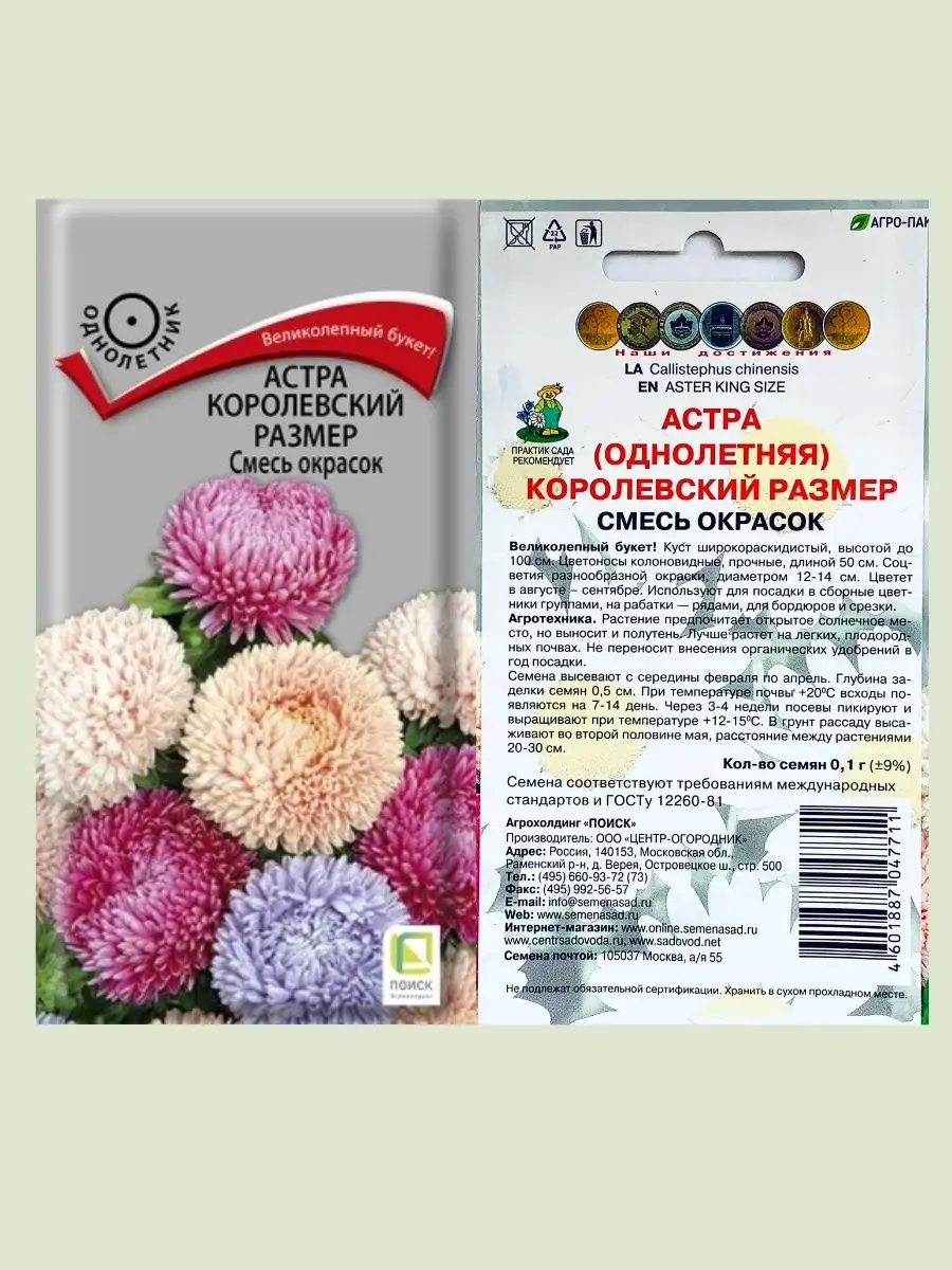 Семена астры Агрохолдинг Поиск 152001020 купить за 259 ₽ в  интернет-магазине Wildberries