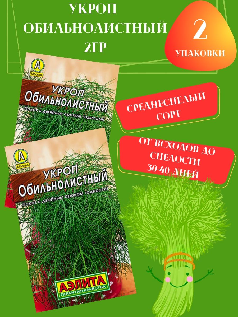 Укроп обильнолистный. Салат Обильнолистный семена. Семена. Укроп "Обильнолистный". Укроп Обильнолистный как садить.