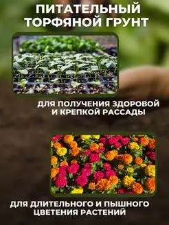 Вид 2.
