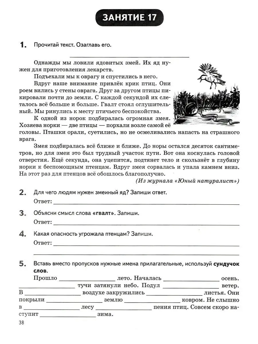 Летние задания к 1 сентября готовы 2 класс 40 занятий ЛЕГИОН 152089678  купить за 247 ₽ в интернет-магазине Wildberries