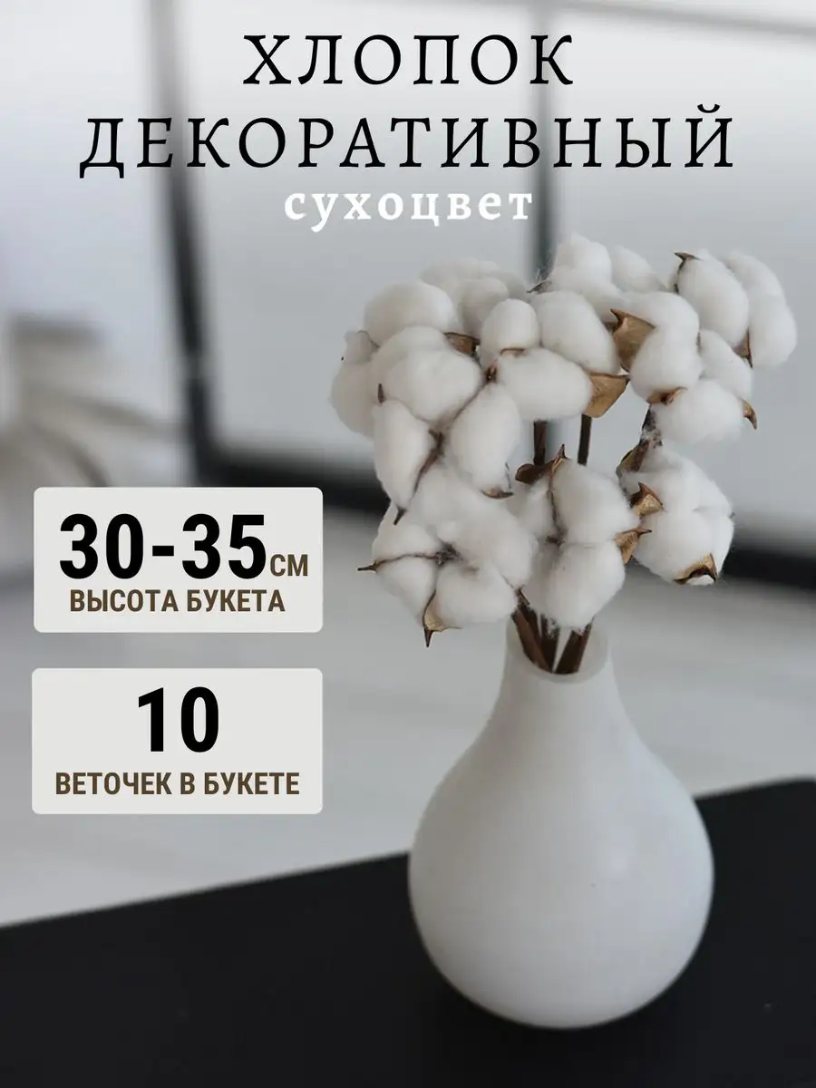 Хлопок сухоцвет для декора TRAVA_DECOR 152125377 купить за 356 ₽ в  интернет-магазине Wildberries