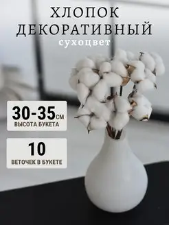 Хлопок сухоцвет для декора TRAVA_DECOR 152125377 купить за 376 ₽ в интернет-магазине Wildberries