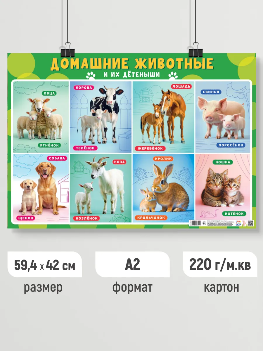 Детский обучающий плакат Домашние животные и их детеныши А2