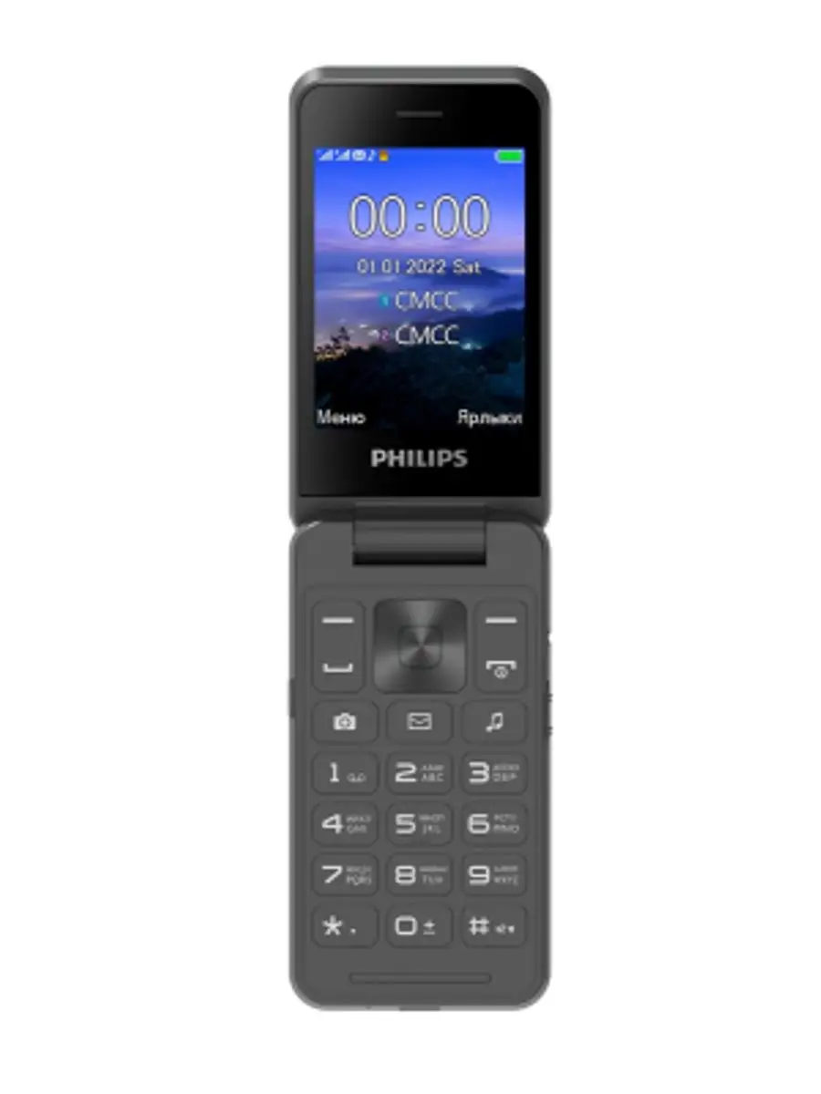 Мобильный телефон Philips Xenium E2602 Philips 152158035 купить за 3 706 ₽  в интернет-магазине Wildberries