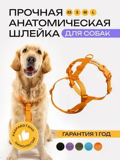 Шлейка для собак анатомическая PRO Comfort 152169251 купить за 1 094 ₽ в интернет-магазине Wildberries