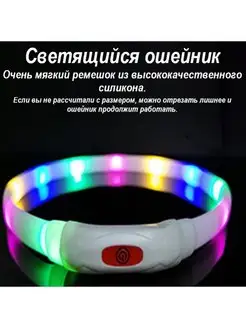 Светящийся светодиодный ошейник для собак, с USB зарядкой BoomBoomshop 152169641 купить за 685 ₽ в интернет-магазине Wildberries