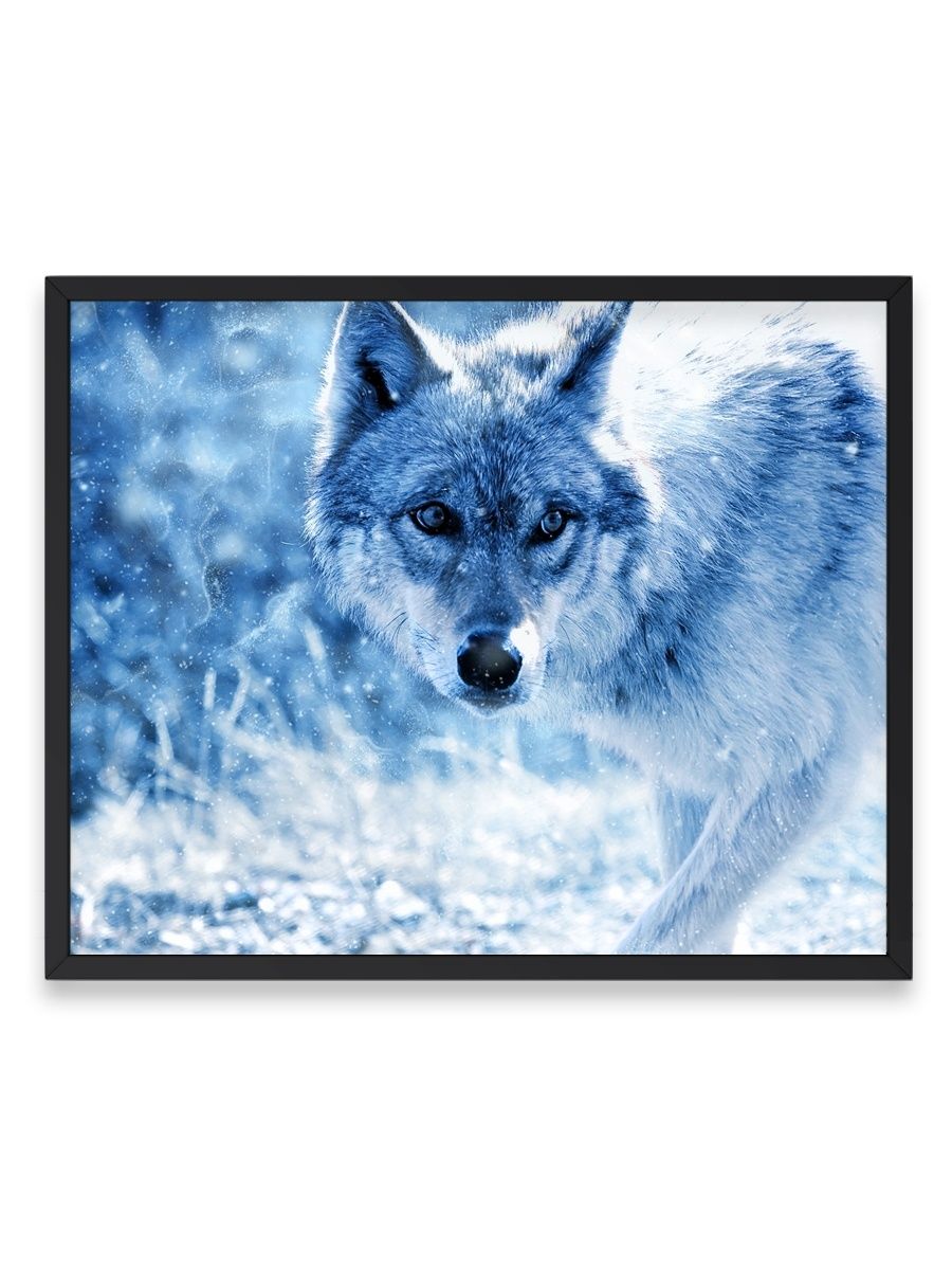 Постер с волком. Плакат с волком. Постер волки. Плак волк. Мысленный волк постеры.