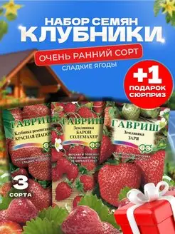 Земляника клубника крупная неприхотливая Гавриш 152189922 купить за 154 ₽ в интернет-магазине Wildberries