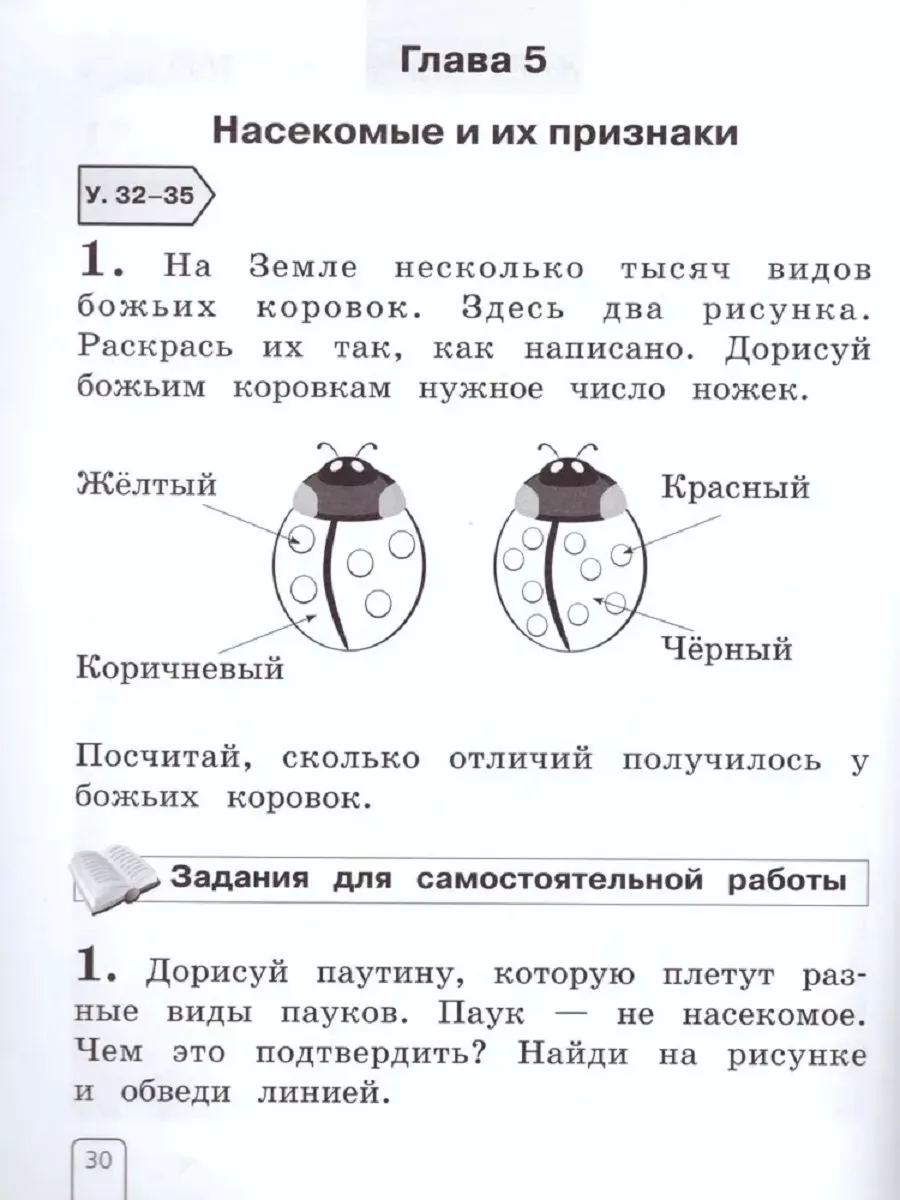 Чудинова Окружающий мир 1 класс Рабочая тетрадь Просвещение 152199763  купить за 370 ₽ в интернет-магазине Wildberries