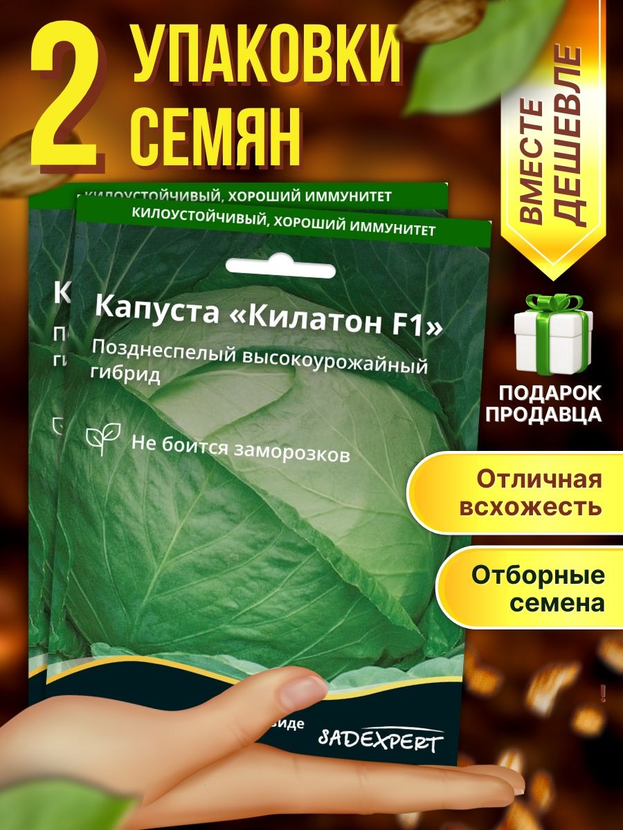 Капуста килатон описание сорта. Капуста Килатон f1. Капуста Килатон. Трой НИКС Килатон.