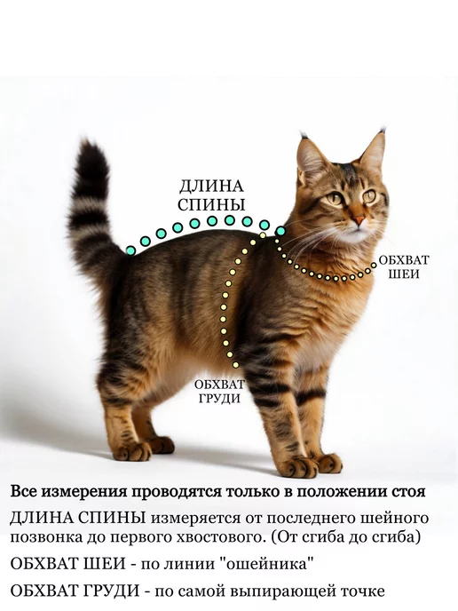 Petleader Попона послеоперационная для кошек на липучке, вариант, фото 6