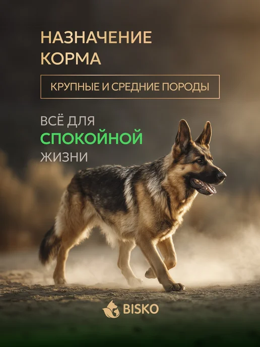Сухой корм Bisko Регуляр для собак, гипоаллергенный, говядина, 10 кг, фото 2