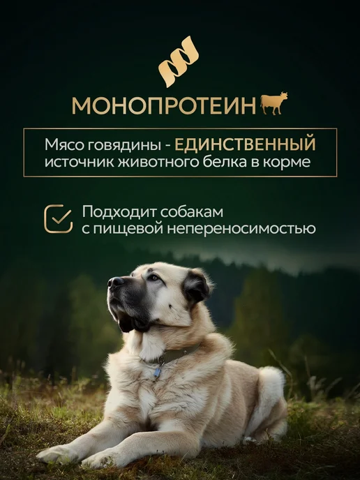 Сухой корм Bisko Регуляр для собак, гипоаллергенный, говядина, 10 кг, фото 4