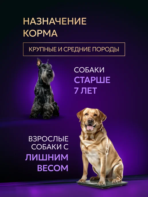Сухой корм Bisko Лайт для собак, гипоаллергенный, говядина, 10 кг, фото 2