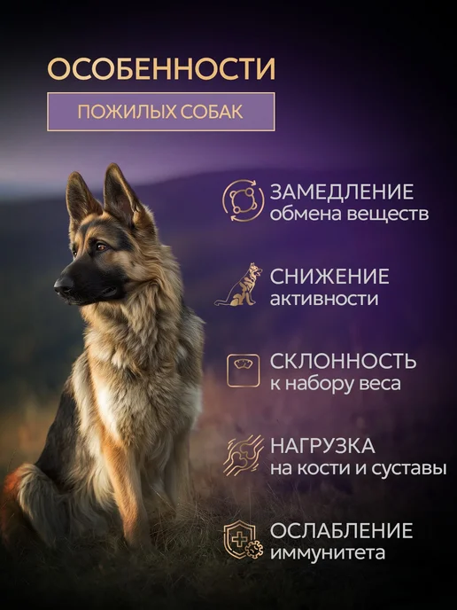 Сухой корм Bisko Лайт для собак, гипоаллергенный, говядина, 10 кг, фото 3