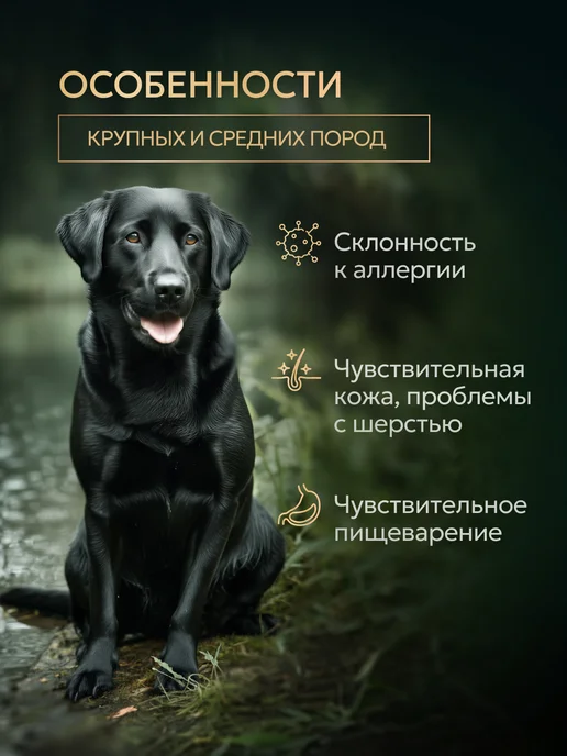 Сухой корм Bisko Регуляр для собак, гипоаллергенный, говядина, 15 кг, фото 7
