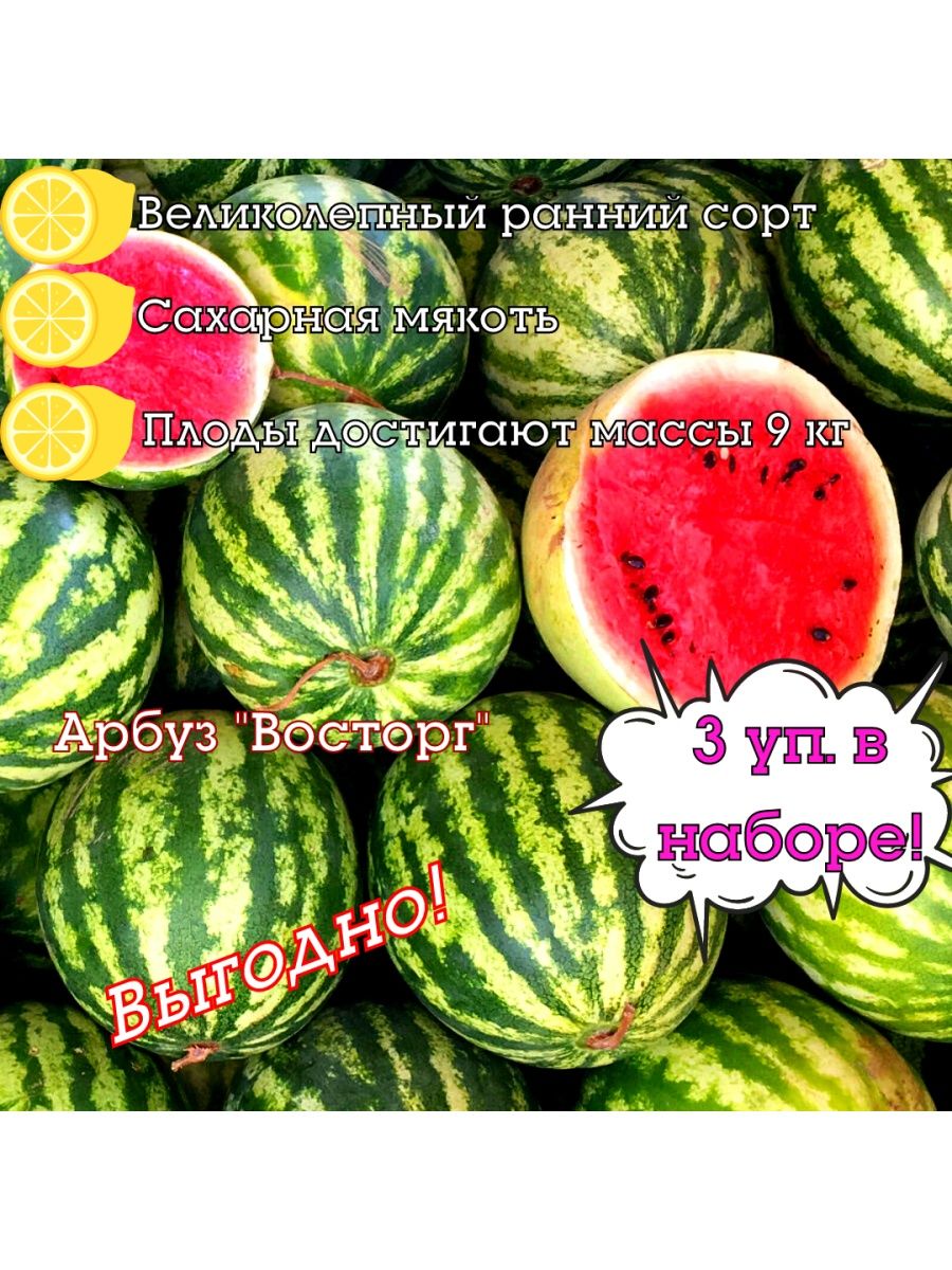 С английского на русский watermelon. Арбуз русский размер. Арбуз русский размер f1. Арбуз русский размер f1 (3шт).